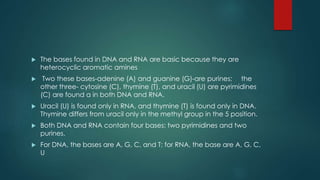  The bases found in DNA and RNA are basic because they are
heterocyclic aromatic amines
 Two these bases-adenine (A) and guanine (G)-are purines; the
other three- cytosine (C), thymine (T), and uracil (U) are pyrimidines
(C) are found a in both DNA and RNA.
 Uracil (U) is found only in RNA, and thymine (T) is found only in DNA.
Thymine differs from uracil only in the methyl group in the 5 position.
 Both DNA and RNA contain four bases: two pyrimidines and two
purines.
 For DNA, the bases are A, G, C, and T; for RNA, the base are A, G, C,
U
 