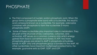 PHOSPHATE
 The third component of nucleic acids is phosphoric acid. When this
group forms a phosphate ester bond with a nucleotide, this result is
acid compound known as a nucleotide. For example, adenosine
combines with phosphate to form the nucleotide 5'-mono
phosphate (AMP)
 Some of these nucleotides play important roles in metabolism. They
are part of the structure of key coenzymes, cofactors, and
activators. ATP serves as a common currency into which energy
gained from food is converted and stored. In ATP, two more
phosphate groups are joined to AMP in phosphate anhydrides
bonds. In ADP, only one phosphate group is bonded to the AMP. All
other nucleotides have important multiphosphorylated forms. For
example, guanosine exits as GMP, GDP, and GTP.
 