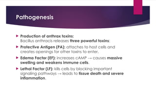 Comprehensive Overview of Anthrax: Causative Agent, Pathogenesis ...