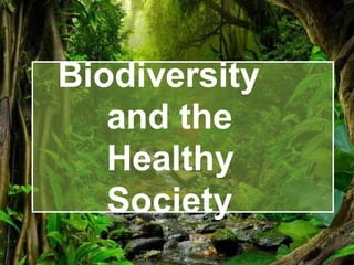Biodiversity
and the
Healthy
Society
 