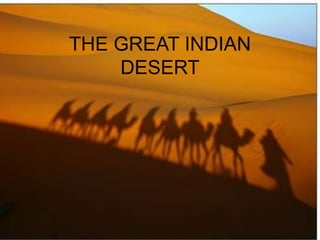THE GREAT INDIAN
DESERT
 