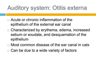 Auditory system: Otitis externa
   Acute or chronic inflammation of the
    epithelium of the external ear canal
   Characterized by erythema, edema, increased
    sebum or exudate, and desquamation of the
    epithelium
   Most common disease of the ear canal in cats
   Can be due to a wide variety of factors
 