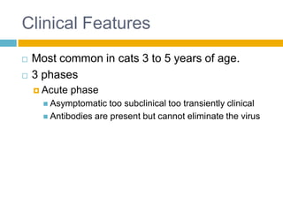 Clinical Features
   Most common in cats 3 to 5 years of age.
   3 phases
     Acute   phase
       Asymptomatic   too subclinical too transiently clinical
       Antibodies are present but cannot eliminate the virus
 