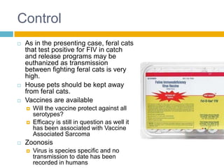 Control
   As in the presenting case, feral cats
    that test positive for FIV in catch
    and release programs may be
    euthanized as transmission
    between fighting feral cats is very
    high.
   House pets should be kept away
    from feral cats.
   Vaccines are available
       Will the vaccine protect against all
        serotypes?
       Efficacy is still in question as well it
        has been associated with Vaccine
        Associated Sarcoma
   Zoonosis
       Virus is species specific and no
        transmission to date has been
        recorded in humans
 