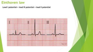 Einthoven law
Lead I potential + lead III potential = lead II potential
 