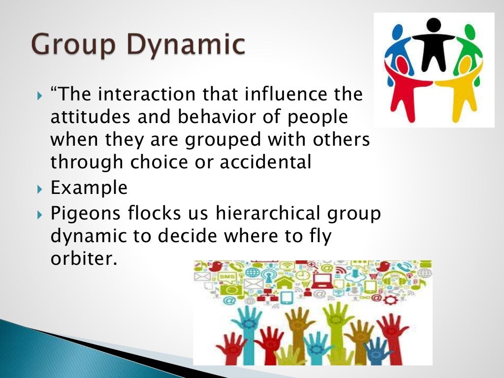 Group and group dynamic