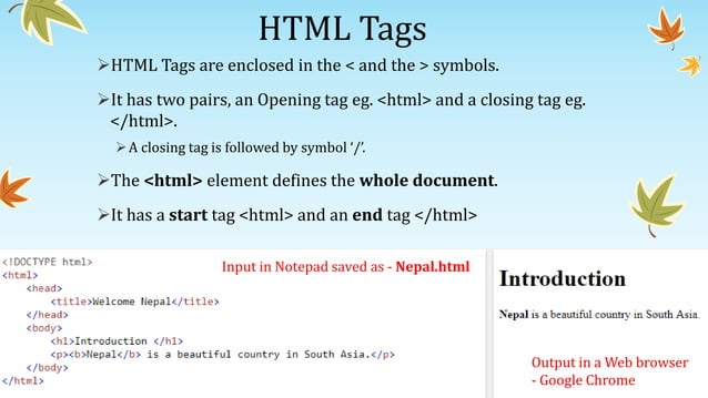 Web Page Designing Using HTML | PPT