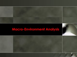 Macro-Environment Analysis 