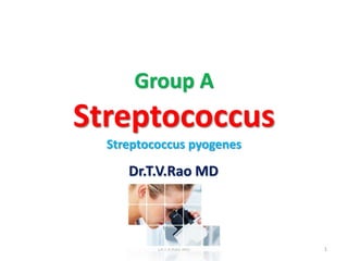 Group A
Streptococcus
Streptococcus pyogenes
Dr.T.V.Rao MD
Dr.T.V.Rao MD 1
 