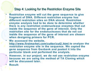 Step 4: Looking for the Restriction Enzyme Site ,[object Object],[object Object],[object Object],[object Object]