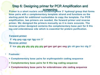 Step 6: Designing primer for PCR Amplification and screening ,[object Object],[object Object],[object Object],[object Object],[object Object],[object Object],[object Object],[object Object],[object Object]