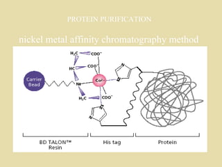 PROTEIN PURIFICATION nickel metal affinity chromatography method   