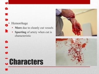 Characters
• Hemorrhage
• More due to cleanly cut vessels
• Spurting of artery when cut is
characteristic
 