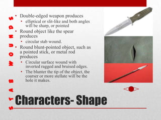 Characters- Shape
• Double-edged weapon produces
• elliptical or slit-like and both angles
will be sharp, or pointed
• Round object like the spear
produces
• circular stab wound.
• Round blunt-pointed object, such as
a pointed stick, or metal rod
produces
• Circular surface wound with
inverted ragged and bruised edges.
• The blunter the tip of the object, the
coarser or more stellate will be the
hole it makes.
 