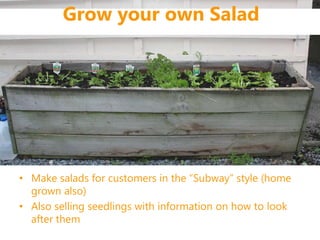 • Make salads for customers in the “Subway” style (home
grown also)
• Also selling seedlings with information on how to look
after them
Grow your own Salad
 