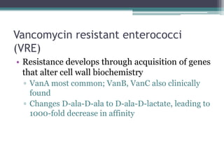 Vre Vanb Group b & d streptococci | PPTX