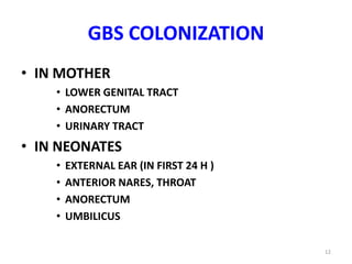 Group b& d streptococci | PPTX