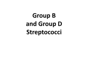 Group B
and Group D
Streptococci
 