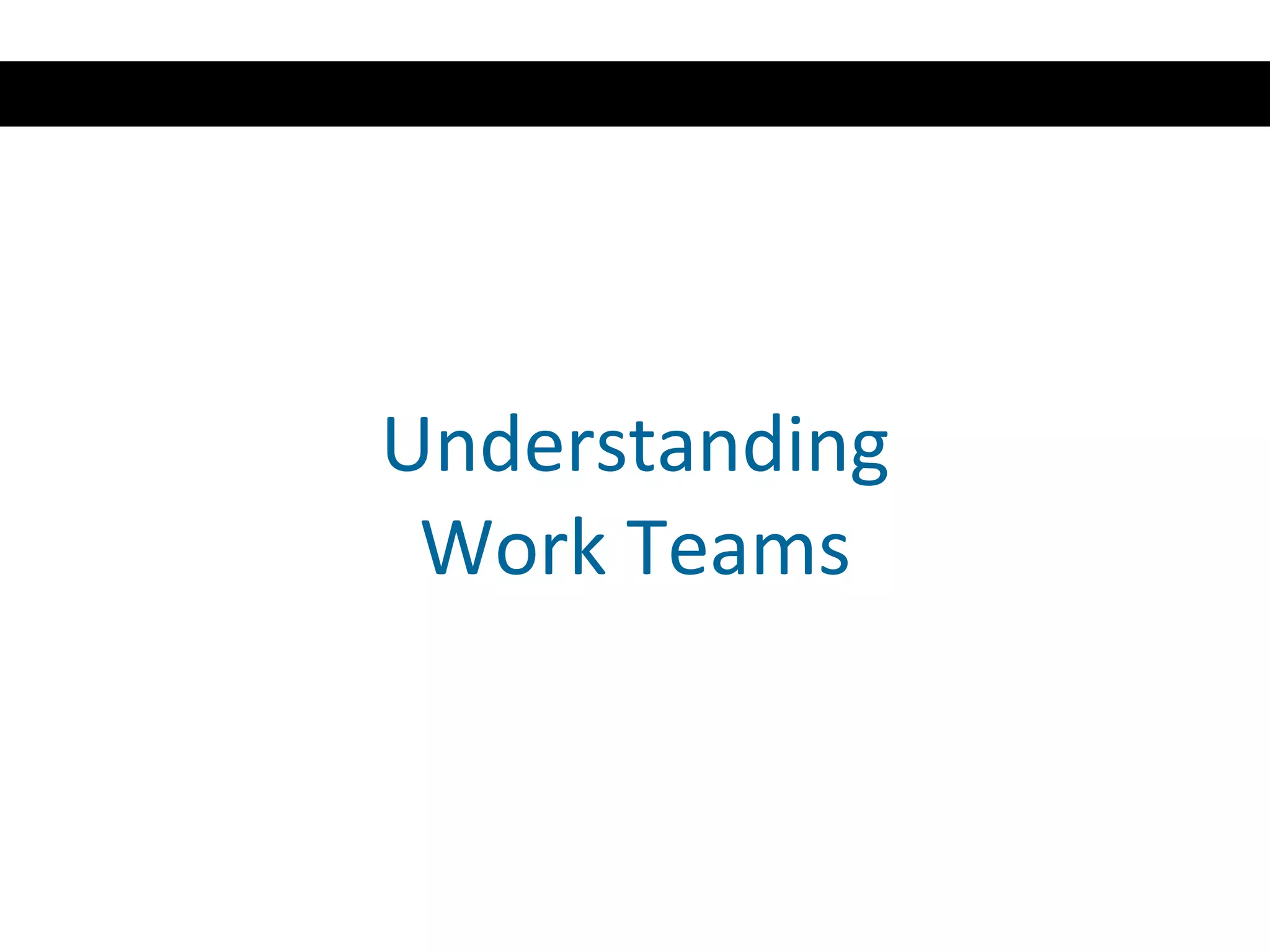 Understanding Work Teams 