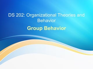 DS 202: Organizational Theories and
Behavior
Group Behavior
 