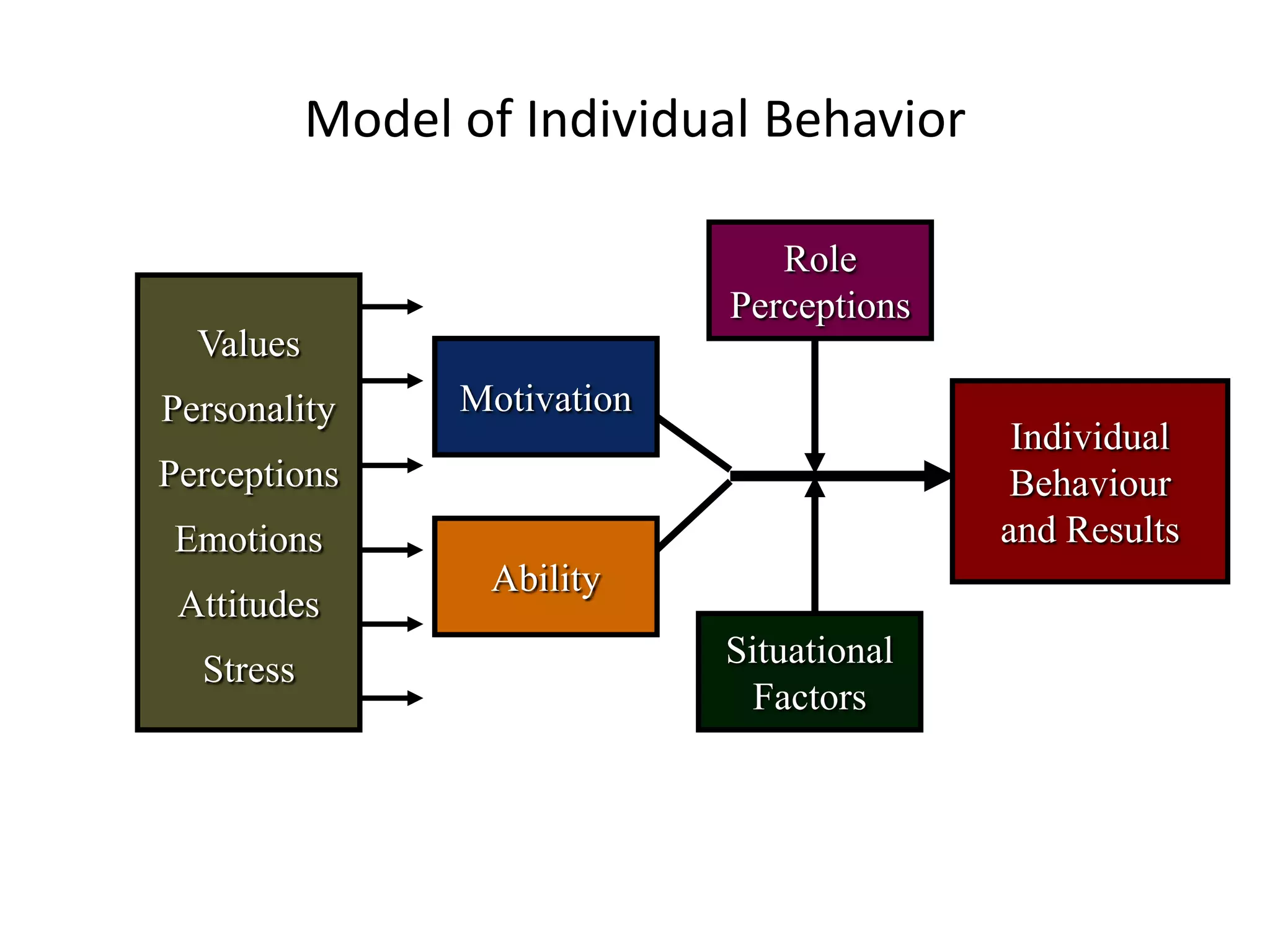 Individual
Behaviour
and Results
Role
Perceptions
Situational
Factors
Motivation
Ability
Values
Personality
Perceptions
Emotions
Attitudes
Stress
Model of Individual Behavior
 