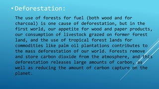 • Deforestation: 
The use of forests for fuel (both wood and for 
charcoal) is one cause of deforestation, but in the 
first world, our appetite for wood and paper products, 
our consumption of livestock grazed on former forest 
land, and the use of tropical forest lands for 
commodities like palm oil plantations contributes to 
the mass deforestation of our world. Forests remove 
and store carbon dioxide from the atmosphere, and this 
deforestation releases large amounts of carbon, as 
well as reducing the amount of carbon capture on the 
planet. 
 