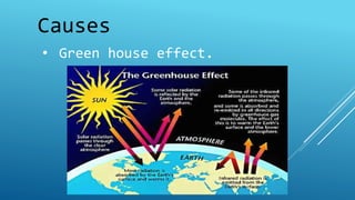 Causes 
• Green house effect. 
 