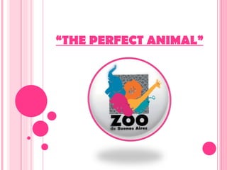 “ THE PERFECT ANIMAL” 