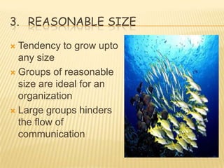 3. REASONABLE SIZE

 Tendency to grow upto
  any size
 Groups of reasonable
  size are ideal for an
  organization
 Large groups hinders
  the flow of
  communication
 