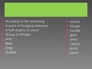 Hundreds of fish swimming A pack of foraging baboons A half dozens of crows Group of Whales Ants Bees Dogs Gorillas school troupe murder gam army colony pack band 