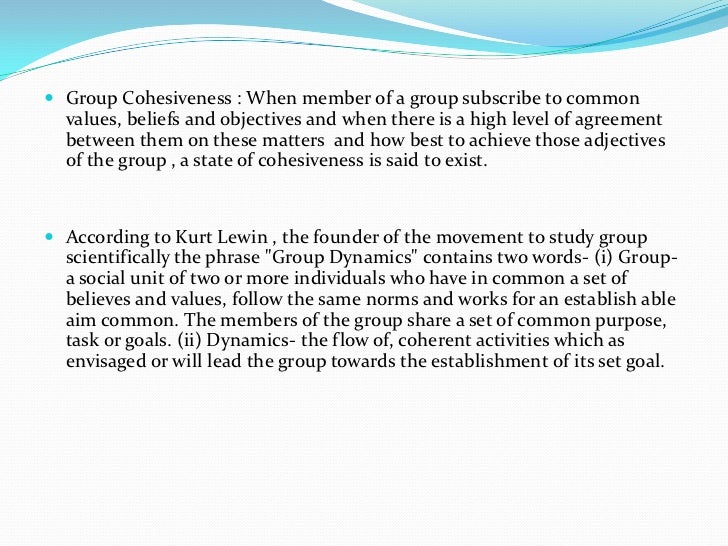 Group dynamics essay