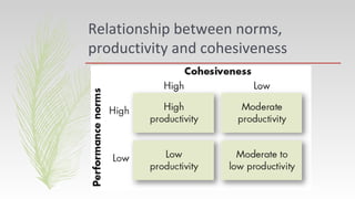 Relationship between norms,
productivity and cohesiveness
 