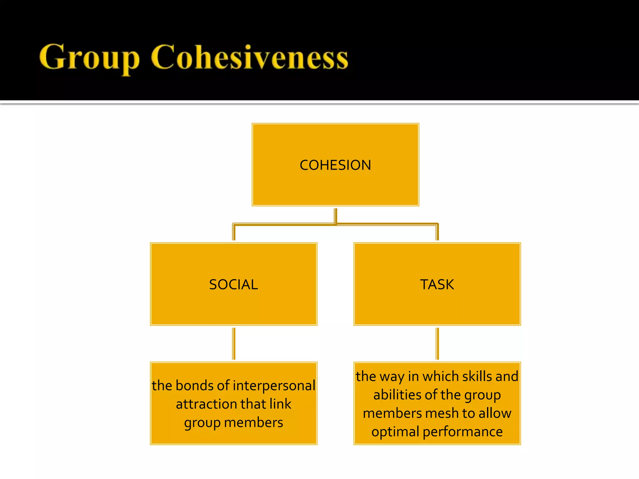COHESION
SOCIAL
the bonds of interpersonal
attraction that link
group members
TASK
the way in which skills and
abilities of the group
members mesh to allow
optimal performance
 