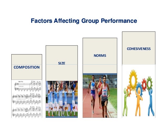factors of group dynamics