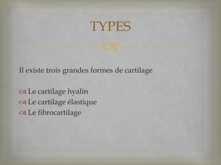 
Il existe trois grandes formes de cartilage
 Le cartilage hyalin
 Le cartilage élastique
 Le fibrocartilage
TYPES
 