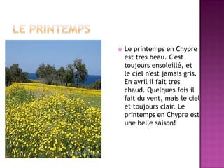 le printempsLe printemps en Chypre est tres beau. C'est toujours ensoleillé, et le ciel n'est jamais gris. En avril il fait tres chaud. Quelques fois il fait du vent, mais le ciel et toujours clair. Le printemps en Chypre est une belle saison!