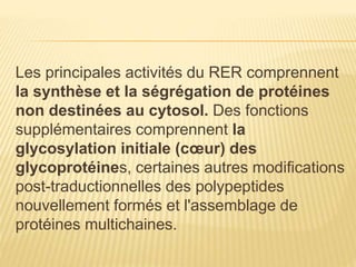 Les principales activités du RER comprennent
la synthèse et la ségrégation de protéines
non destinées au cytosol. Des fonctions
supplémentaires comprennent la
glycosylation initiale (cœur) des
glycoprotéines, certaines autres modifications
post-traductionnelles des polypeptides
nouvellement formés et l'assemblage de
protéines multichaines.
 