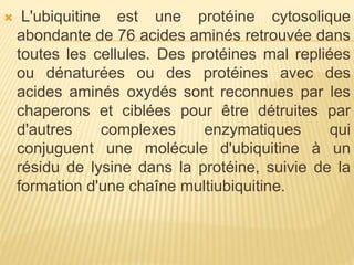 L'ubiquitine est une protéine cytosolique
abondante de 76 acides aminés retrouvée dans
toutes les cellules. Des protéines mal repliées
ou dénaturées ou des protéines avec des
acides aminés oxydés sont reconnues par les
chaperons et ciblées pour être détruites par
d'autres complexes enzymatiques qui
conjuguent une molécule d'ubiquitine à un
résidu de lysine dans la protéine, suivie de la
formation d'une chaîne multiubiquitine.
 