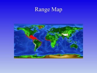 Range Map
 
