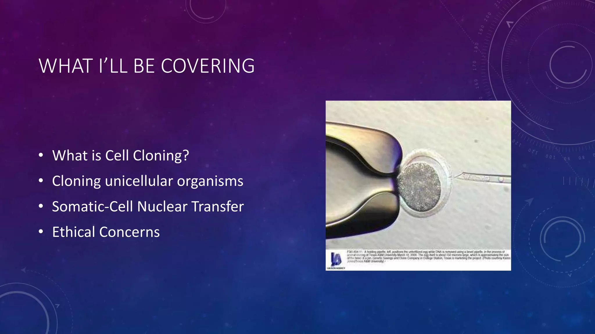 WHAT I’LL BE COVERING
• What is Cell Cloning?
• Cloning unicellular organisms
• Somatic-Cell Nuclear Transfer
• Ethical Concerns
 