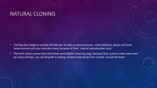 NATURAL CLONING
• Cloning also happens outside the lab too. Its also a natural process, some bacteria, plants and even
some animals will also naturally clone because of their natural reproductive cycle.
• The term clone comes from the Greek word kládos meaning twig, because they used to make new trees
by using cuttings, you would graft a cutting, instead of growing from a seed. I would be faster.
 