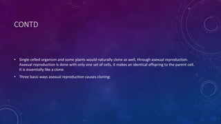 CONTD
• Single celled organism and some plants would naturally clone as well, through asexual reproduction.
Asexual reproduction is done with only one set of cells, it makes an identical offspring to the parent cell.
It is essentially like a clone.
• Three basic ways asexual reproduction causes cloning:
 