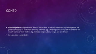 CONTD
• Parthenogenesis – Reproduction without fertilisation. It may not be technically cloning(there are
genetic changes). So no male is fertilising a female egg. Offspring's are usually female and they are
usually clones of their mother. E.g. komodo dragons, bees, wasps, boa constrictor.
• Its essentially a virgin birth.
 