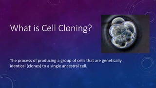 What is Cell Cloning?
The process of producing a group of cells that are genetically
identical (clones) to a single ancestral cell.
 