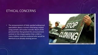 ETHICAL CONCERNS
• The announcement of Dolly sparked widespread
speculation about a human child being created
using somatic cell nuclear transfer. Much of the
perceived fear that greeted this announcement
centred on the misperception that a child or
many children could be produced who would be
identical to an already existing person.
 