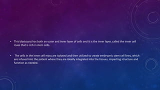• This blastocyst has both an outer and inner layer of cells and it is the inner layer, called the inner cell
mass that is rich in stem cells.
• The cells in the inner cell mass are isolated and then utilized to create embryonic stem cell lines, which
are infused into the patient where they are ideally integrated into the tissues, imparting structure and
function as needed.
 