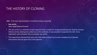 THE HISTORY OF CLONING
1885 - First-ever demonstration of artificial embryo twinning
• Sea urchin
Hans Adolf Edward Dreisch
• The sea urchin is a relatively simple organism that is useful for studying development. Dreisch showed
that by merely shaking two-celled sea urchin embryos, it was possible to separate the cells. Once
separated, each cell grew into a complete sea urchin.
• This experiment showed that each cell in the early embryo has its own complete set of genetic
instructions and can grow into a full organism.
 
