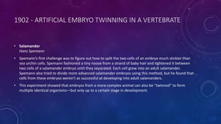 1902 - ARTIFICIAL EMBRYO TWINNING IN A VERTEBRATE
• Salamander
Hans Spemann
• Spemann’s first challenge was to figure out how to split the two cells of an embryo much stickier than
sea urchin cells. Spemann fashioned a tiny noose from a strand of baby hair and tightened it between
two cells of a salamander embryo until they separated. Each cell grew into an adult salamander.
Spemann also tried to divide more advanced salamander embryos using this method, but he found that
cells from these embryos weren’t as successful at developing into adult salamanders.
• This experiment showed that embryos from a more-complex animal can also be “twinned” to form
multiple identical organisms—but only up to a certain stage in development.
 