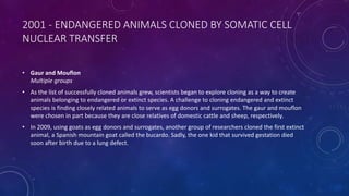 2001 - ENDANGERED ANIMALS CLONED BY SOMATIC CELL
NUCLEAR TRANSFER
• Gaur and Mouflon
Multiple groups
• As the list of successfully cloned animals grew, scientists began to explore cloning as a way to create
animals belonging to endangered or extinct species. A challenge to cloning endangered and extinct
species is finding closely related animals to serve as egg donors and surrogates. The gaur and mouflon
were chosen in part because they are close relatives of domestic cattle and sheep, respectively.
• In 2009, using goats as egg donors and surrogates, another group of researchers cloned the first extinct
animal, a Spanish mountain goat called the bucardo. Sadly, the one kid that survived gestation died
soon after birth due to a lung defect.
 