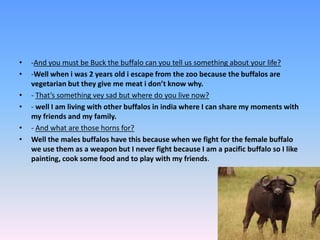 -And you must be Buck the buffalo can you tell us something about your life? -Well when i was 2 years old i escape from the zoo because the buffalos are vegetarian but they give me meat i don’t know why. - That’s something vey sad but where do you live now?- well I am living with other buffalos in india where I can share my moments with my friends and my family. - And what are those horns for? Well the males buffalos have this because when we fight for the female buffalo we use them as a weapon but I never fight because I am a pacific buffalo so I like painting, cook some food and to play with my friends. 